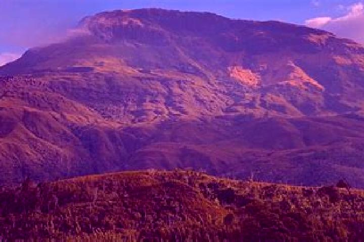 Aurora, 34 — Escort in Tsaratanana, Madagascar