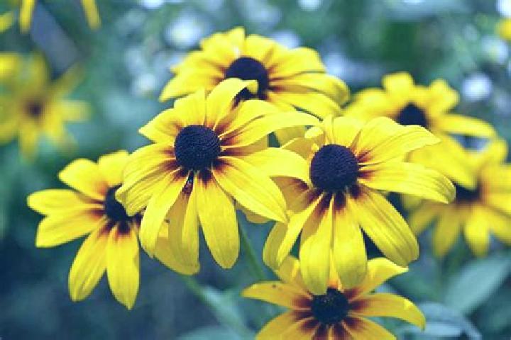 Aurora, 35, a black brown-eyed asian companion based in Cleder. Offering A-Level, Striptease, Dinner Date, Roleplay. Available for incall and outcall, overni...