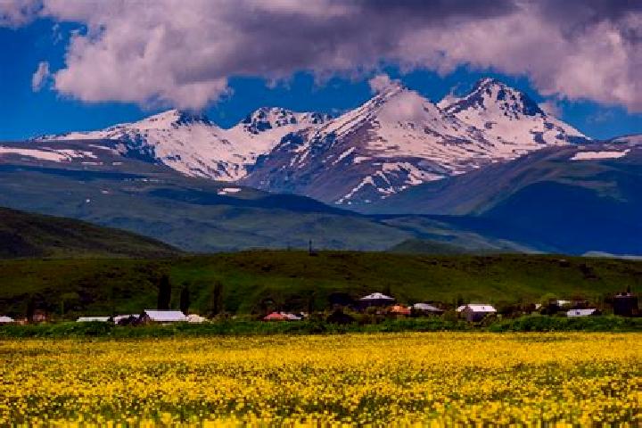 Aurora, 35 — Escort in Aragatsotn, Armenia