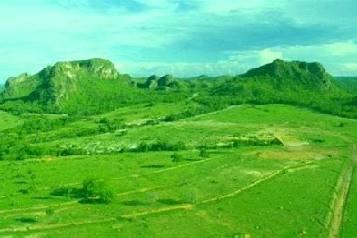 Aurora, 35 — Escort in Araguainha, Brazil