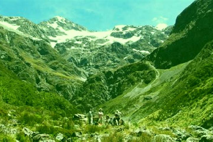 Aurora, 35 — Escort in Arthur s Pass, New Zealand