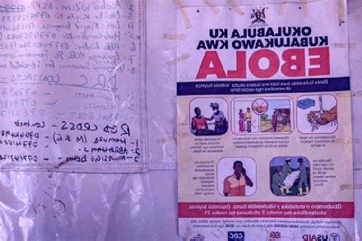 Aurora, 35 — Escort in Businga, DR Congo