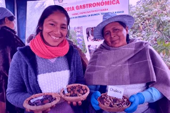 Aurora, 35 — Escort in Colomi, Bolivia