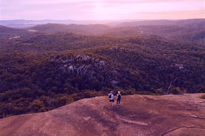 Aurora, 35 — Escort in Crows Nest, Australia