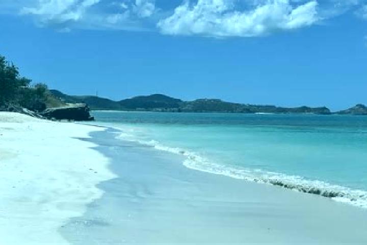 Aurora, 35 — Escort in Freetown, Antigua and Barbuda