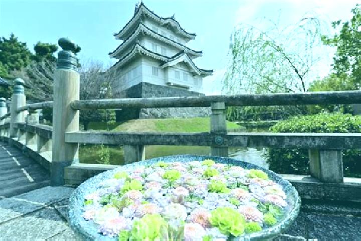 Aurora, 35 — Escort in Gyoda, Japan