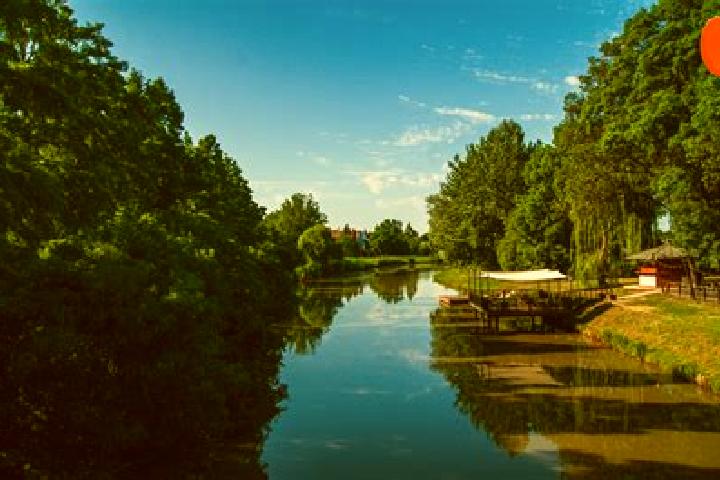 Aurora, 35 — Escort in Mindszent, Hungary