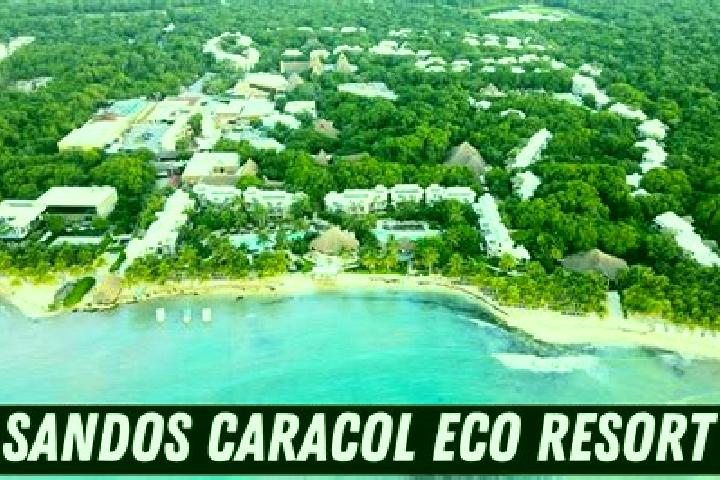 Aurora, 35 — Escort in Raya Caracol, Mexico