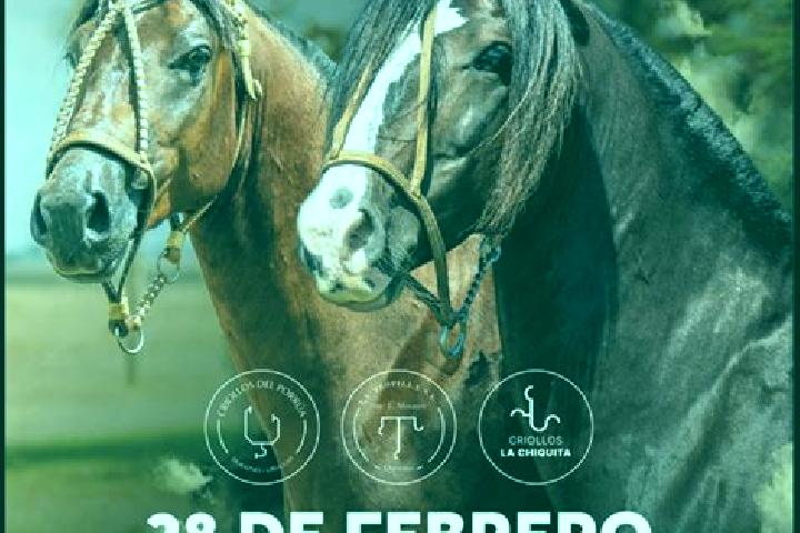 Aurora, 35 — Escort in Santa Bernardina, Uruguay