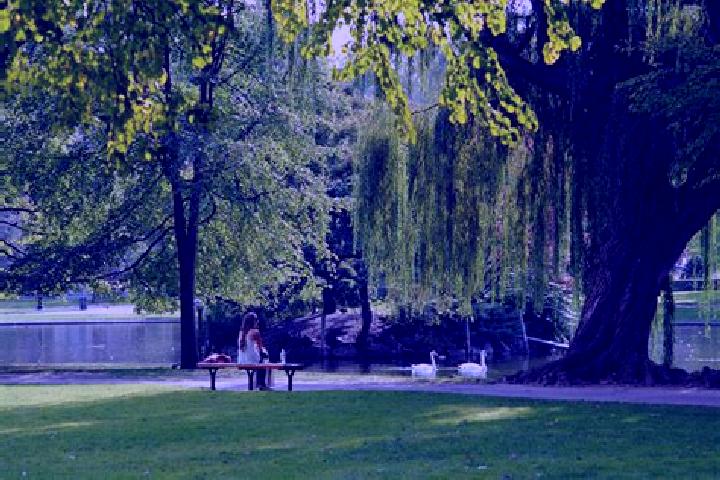 Aurora, 35 — Escort in Virginia Park, Canada