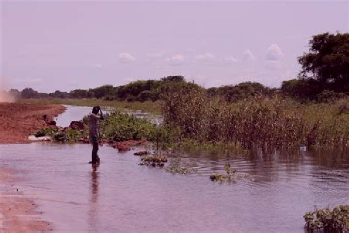 Aurora, 35 — Escort in Yirol, South Sudan