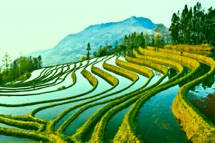 Aurora, 35 — Escort in Yuanyang, China