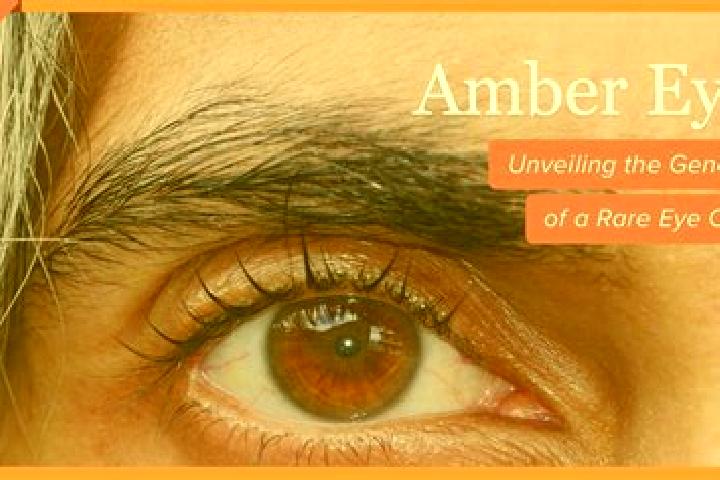 Aurora, 36, a black amber-eyed slavic companion based in Khartut. Offering Overnight, CIM, Massage. Available for incall and outcall, overnight bookings avai...