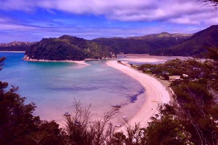 Aurora, 36 — Escort in Andersons Bay, New Zealand