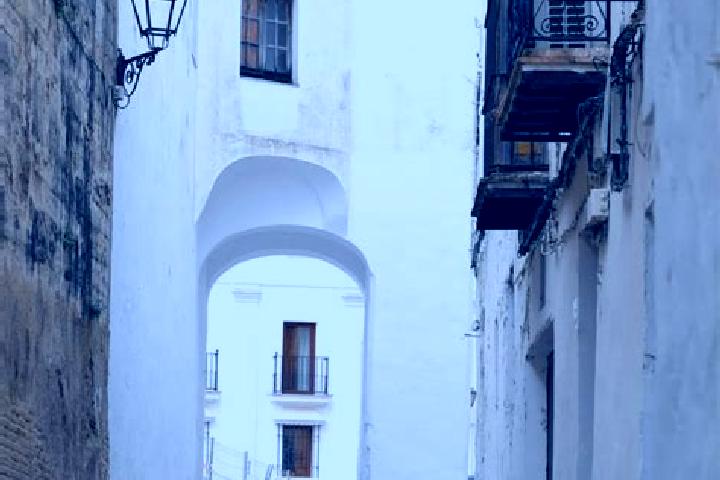 Aurora, 36 — Escort in Arcos de las Salinas, Spain