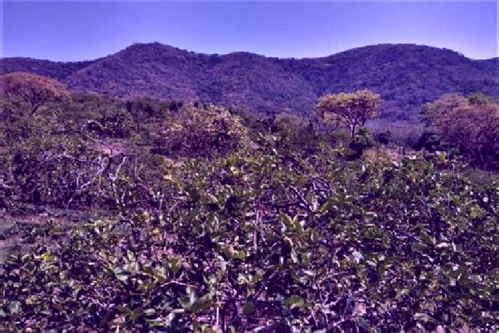 Aurora, 36 — Escort in El Limonar, Mexico