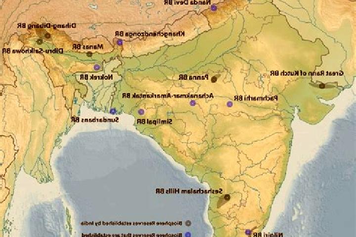 Aurora, 36 — Escort in Kanjikkovil, India