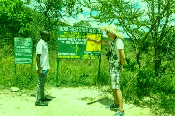 Aurora, 36 — Escort in Kondoa, Tanzania