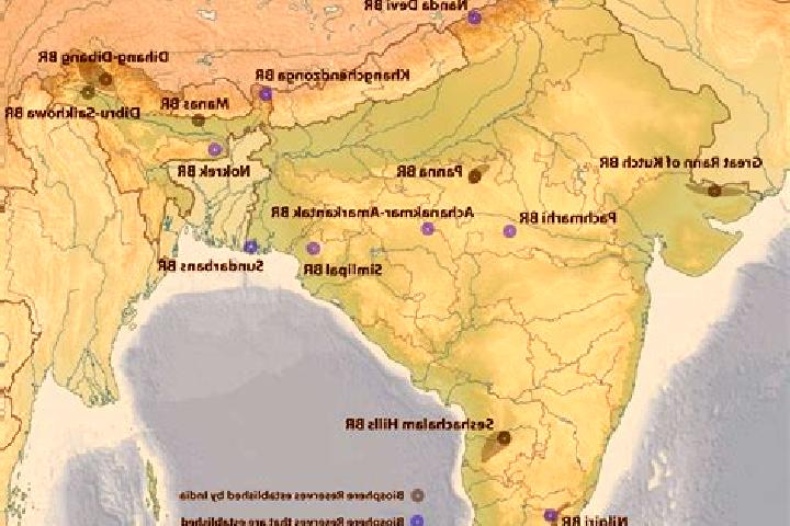 Aurora, 36 — Escort in Mangvadi, India