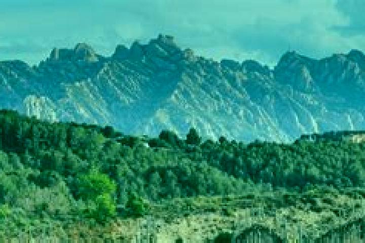 Aurora, 36 — Escort in Masquefa, Spain