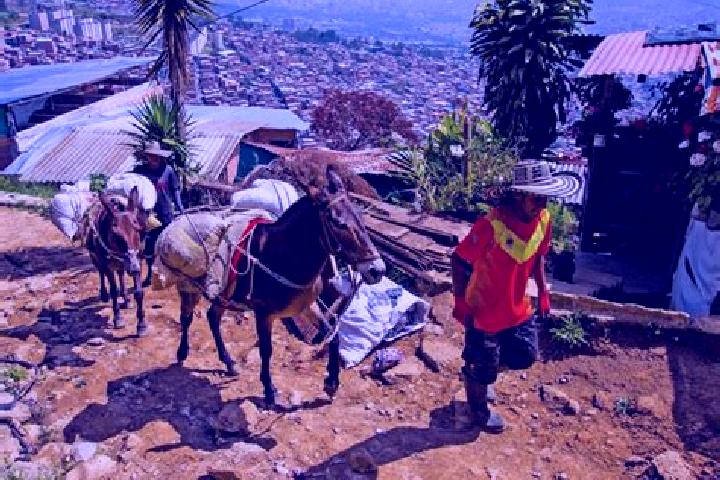 Aurora, 36 — Escort in Nuevo Jerusalen, Mexico