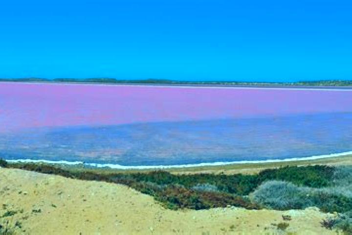 Aurora, 36 — Escort in Pink Lake, Australia