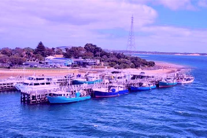 Aurora, 36 — Escort in Rhyll, Australia