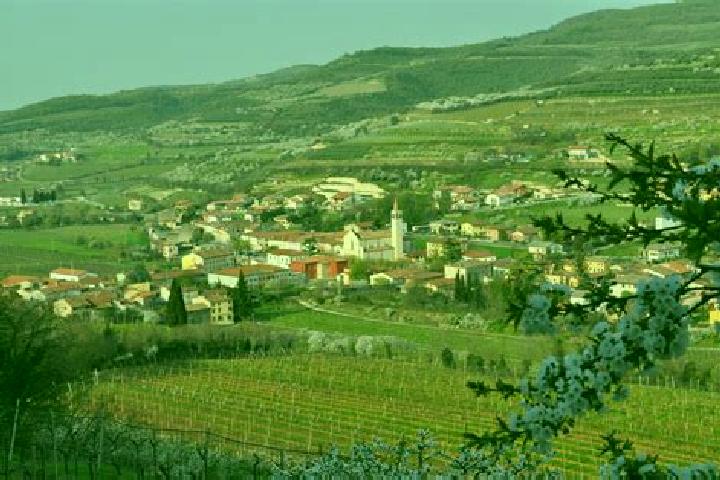 Aurora, 37 — Escort in Cazzano di Tramigna, Italy