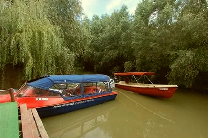 Aurora, 37 — Escort in Dunavatu de Jos, Romania