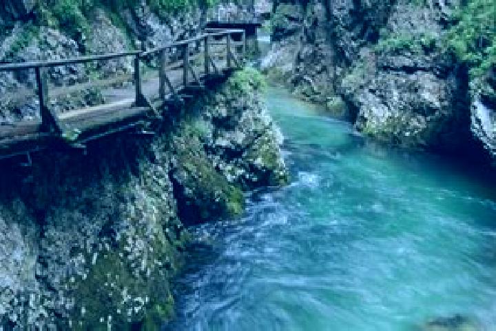 Aurora, 37 — Escort in Jesenice, Slovenia