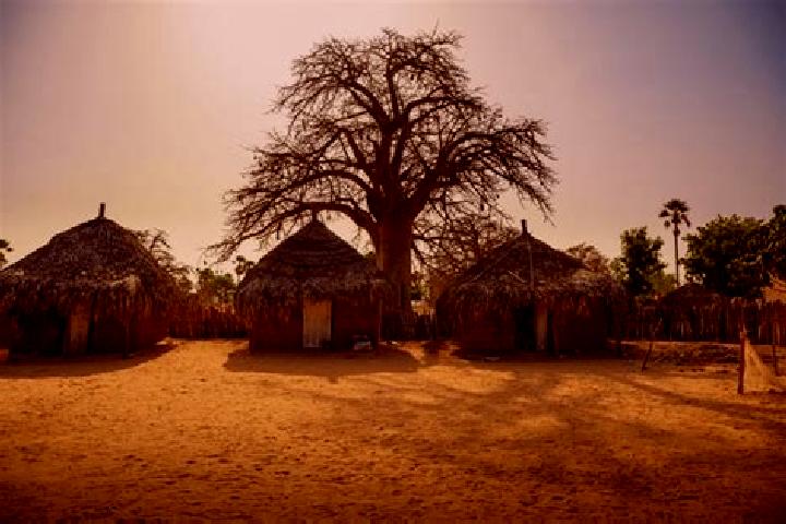 Aurora, 37 — Escort in Koumpentoum, Senegal