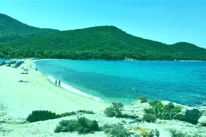 Aurora, 37 — Escort in Olympiada, Greece