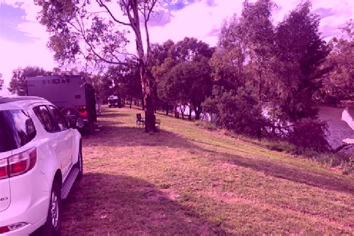 Aurora, 37 — Escort in South Gundagai, Australia