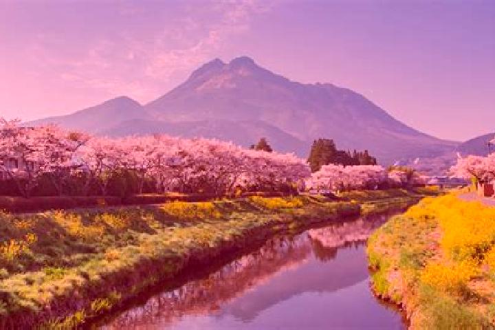 Aurora, 37 — Escort in Yufu, Japan