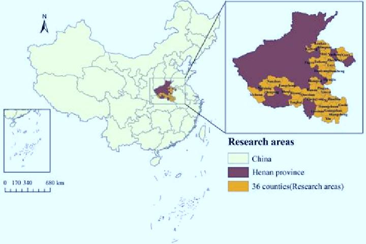 Aurora, 37 — Escort in Zhecheng Chengguanzhen, China