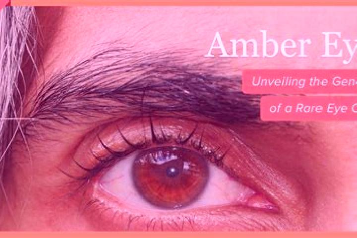Aurora, 38, a black amber-eyed mediterranean companion based in Esquias. Offering Overnight, Domination, OWO, 69, Deep French Kissing. Available for incall a...