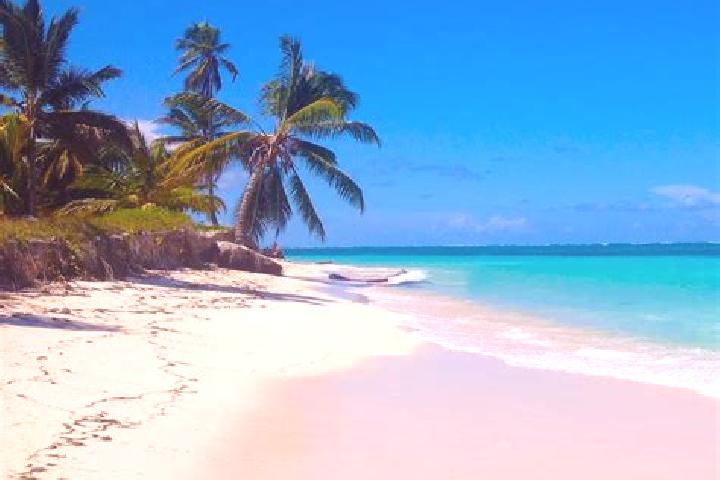Aurora, 38, a brunette dark-eyed caribbean companion based in Cabeza de Toro. Offering Duos, Travel Companion, 69. Available for incall and outcall, overnigh...
