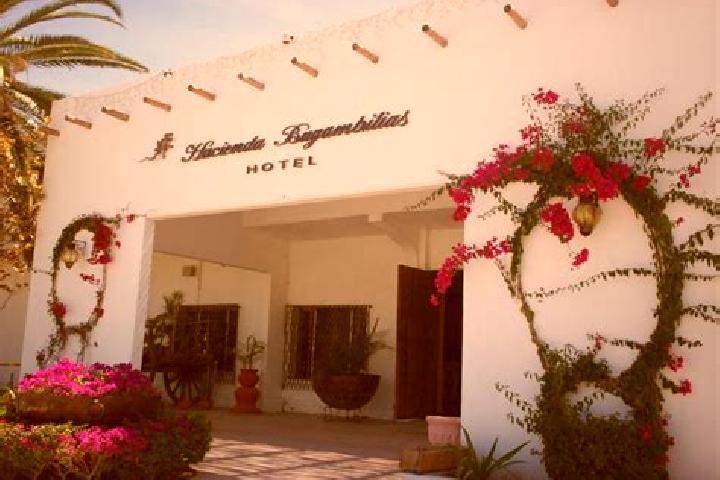 Aurora, 38 — Escort in Bugambilias (La Cruz), Mexico