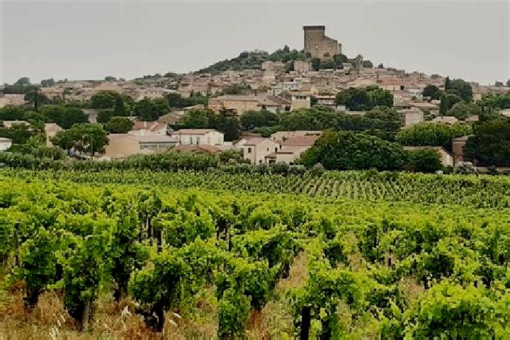 Aurora, 38 — Escort in Chateauneuf-du-Pape, France