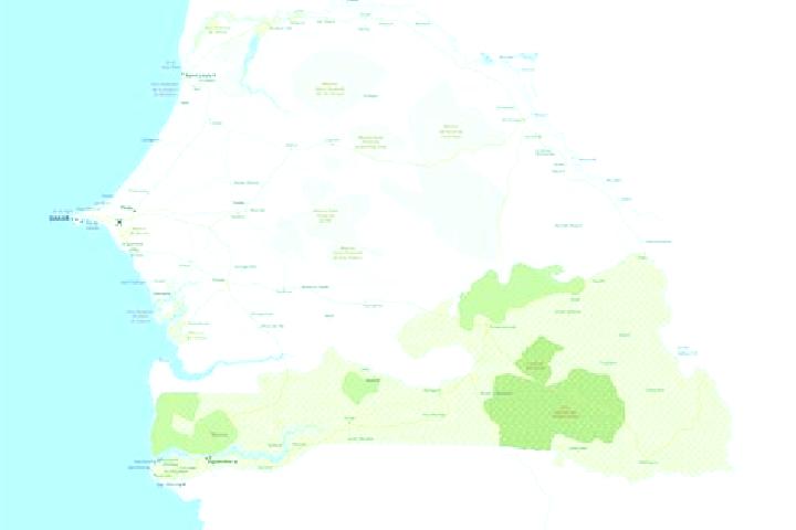 Aurora, 38 — Escort in Diattakounda, Senegal