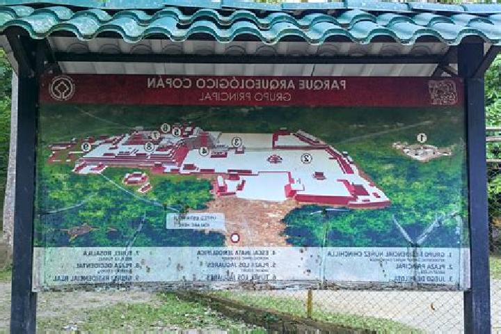 Aurora, 38 — Escort in El Ocoton, Honduras