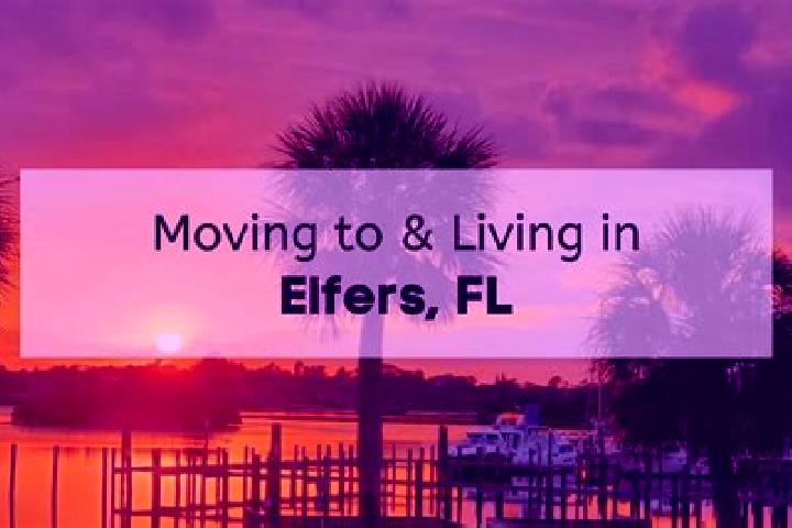 Aurora, 38 — Escort in Elfers, United States