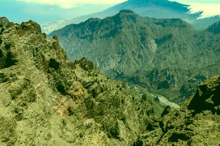 Aurora, 38 — Escort in La Palma de Emenguaro, Mexico