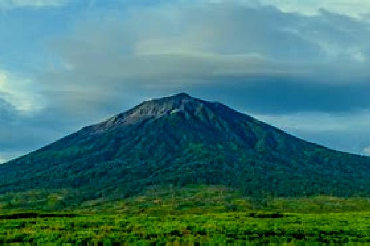 Aurora, 38 — Escort in Pangkalan Kerinci, Indonesia