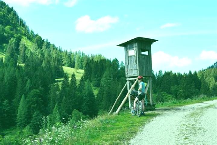 Aurora, 38 — Escort in Reichraming, Austria