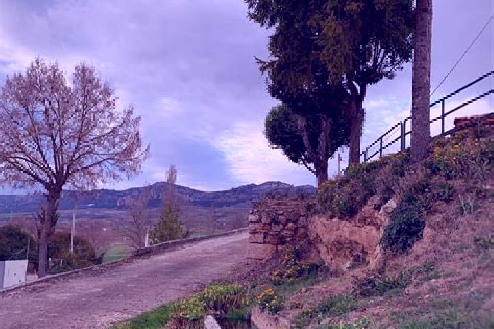 Aurora, 38 — Escort in Santa Olalla de Bureba, Spain