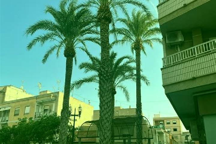 Aurora, 39 — Escort in Albatera, Spain