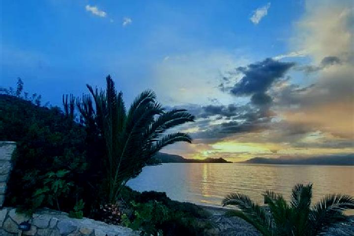 Aurora, 39 — Escort in Flampouro, Greece