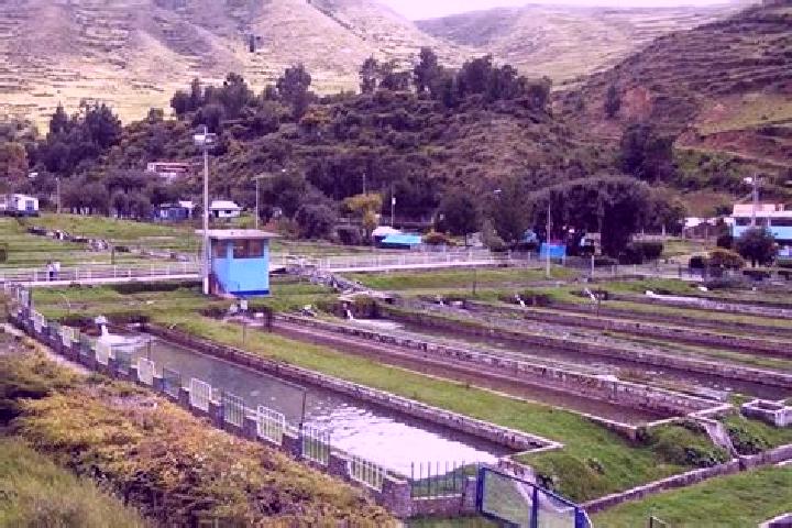 Aurora, 39 — Escort in Ingenio, Peru