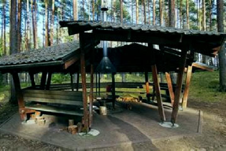 Aurora, 39 — Escort in Kilingi-Nomme, Estonia